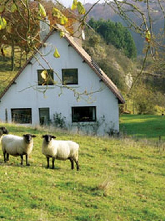 Chambre D'Hotes Les Champarts Tourville-la-Chapelle Exterior photo